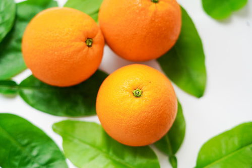 贛南臍橙——優質果品圖片素材，助力食品餐飲設計